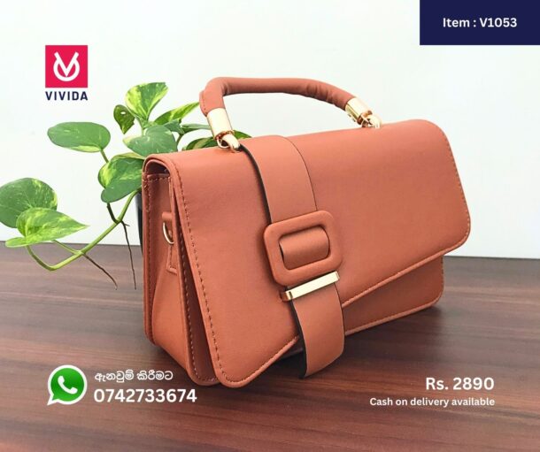 Ladies Hand Bag - V1053